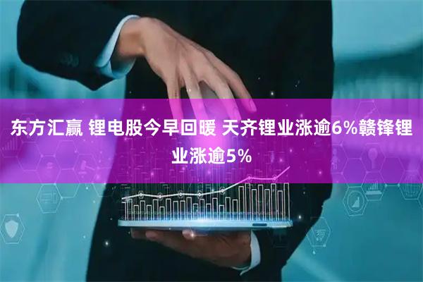 东方汇赢 锂电股今早回暖 天齐锂业涨逾6%赣锋锂业涨逾5%