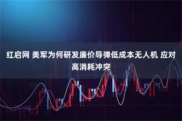 红启网 美军为何研发廉价导弹低成本无人机 应对高消耗冲突