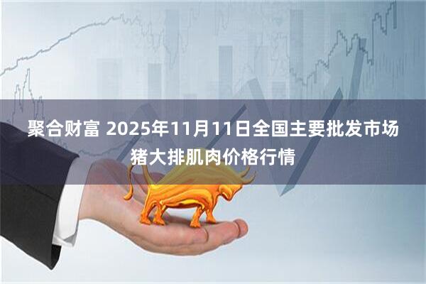聚合财富 2025年11月11日全国主要批发市场猪大排肌肉价格行情