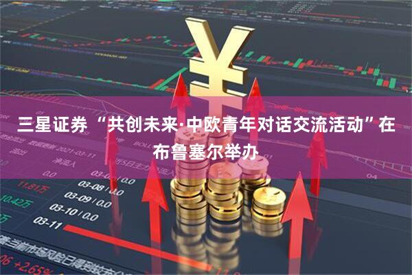三星证券 “共创未来·中欧青年对话交流活动”在布鲁塞尔举办